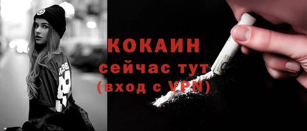 прущие грибы Слюдянка
