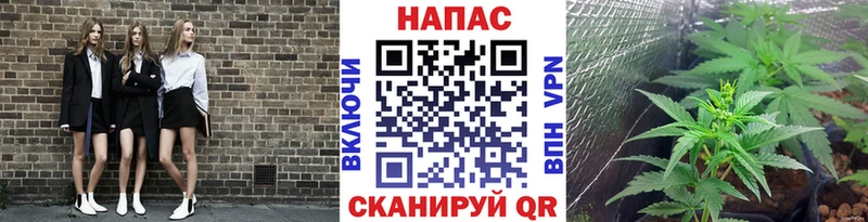 наркотики Елец Шишки марихуана Bruce Banner